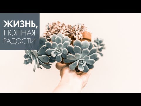 Видео: Джойс Майер: Милость и прощение ч. 2