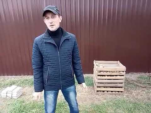 Видео: Морозостойкие сорта киви. Нужно ли укрывать?