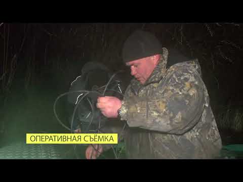 Видео: Охотник на браконьеров. 29 серия. р. Десна, нерестовый период. Часть 2