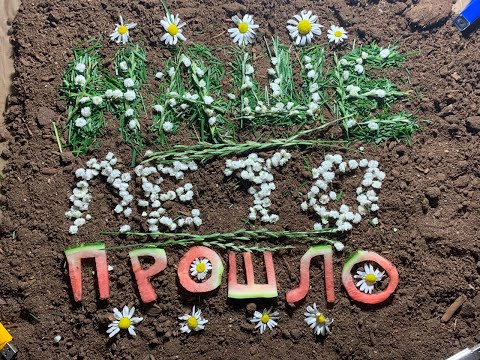 Видео: Наше Лето Прошло (2021)