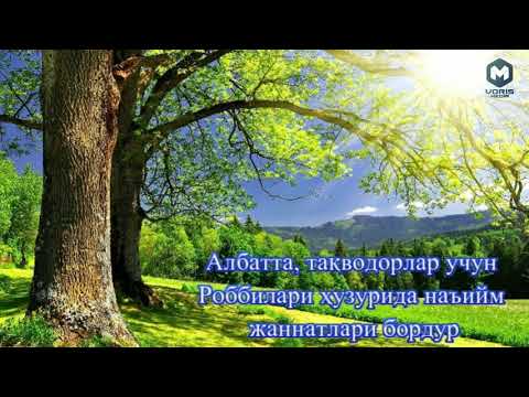 Видео: «Шайтоннинг ваъдасига ишонма» Акрамжон домла