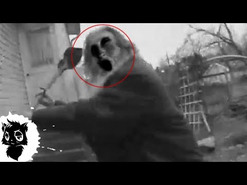 Видео: 5 ЛЮДЕЙ МОНСТРОВ СНЯТЫХ НА КАМЕРУ [Черный кот]