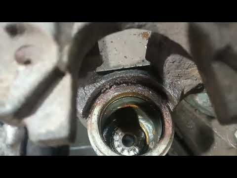 Видео: Болезнь Ате суппортов?