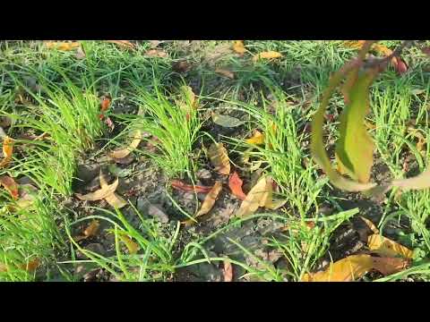 Видео: Тёплая погода, домашние дела и вечерний отдых😊