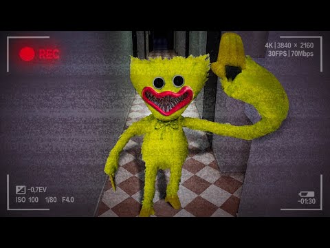 Видео: Золотой ХАГИ ВАГИ пришел ко мне ДОМОЙ! Снял ХАГИ ВАГИ на камеру