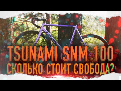 Видео: TSUNAMI SNM100 - СТОИТ ЛИ ПОКУПАТЬ? | 500$ ЗА 7.8 КГ | БАЙКЧЕК СПУСТЯ 300 КМ