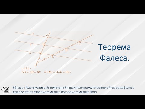 Видео: Теорема Фалеса. 8 класс. Геометрия.