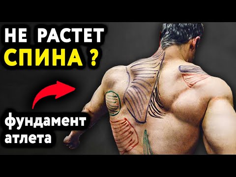 Видео: 4 самых главных упражнения для спины