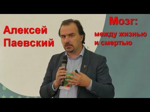 Видео: Алексей Паевский "Мозг: между жизнью и смертью"
