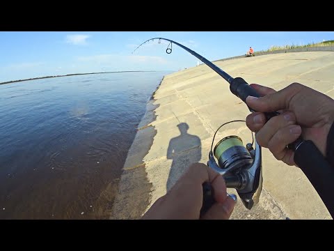 Видео: УХ! Вот когда спиннинг вырывают из рук! Рыбалка на Волге при помощи воблеров