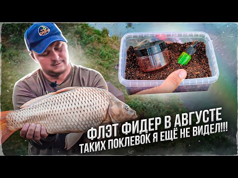 Видео: ФЛЭТ ФИДЕР В АВГУСТЕ ,  ТАКИХ ПОКЛЕВОК Я ЕЩЕ НЕ ВИДЕЛ !!!