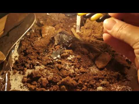 Видео: 💯Чистка#ритуал#отжик крадника и любого другого негатива