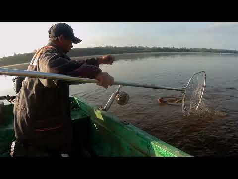 Видео: Рыбалка на Вятке,на кольцо .