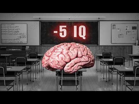Видео: Как школа делает людей глупее
