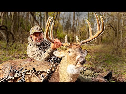 Видео: Грохочу в большом огайском олене! — ​​Охота на гон