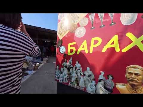 Видео: Солнечный ноябрьский день в Сочи. 