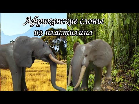 Видео: Лепим африканских слонов (саванный и лесной) (видео 5)