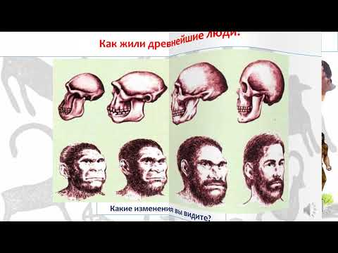 Видео: Вводный урок  Жизнь древнейших людей. История Казахстана.5 класс