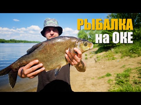Видео: Рыбалка на ОКЕ