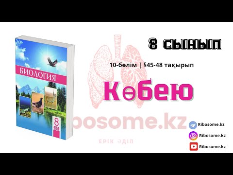 Видео: 8-сынып Көбею §45-48 тақырып 10-бөлім / Ribosome.kz / Ерік Әділ