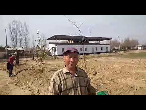 Видео: Аксы району Кызыл-жар айылы