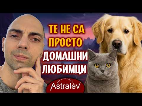 Видео: 🐾 Духовната роля на животните и техните енергийни способности