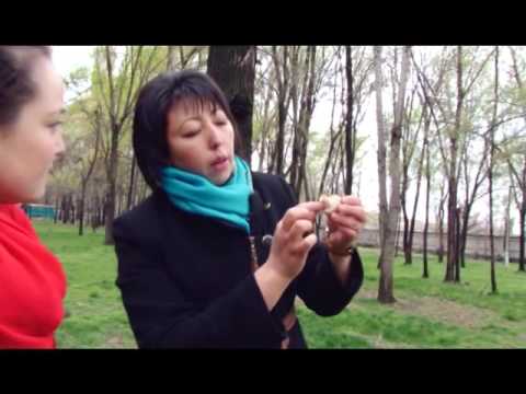 Видео: Козу карын