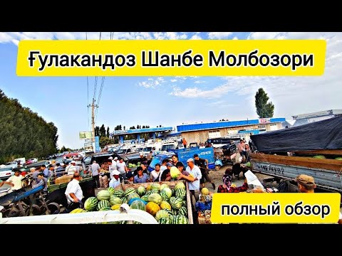 Видео: Ғулакандоз Шанбе Молбозори.Полный Обзор.21.08.2024.Бозор Зур Булди.