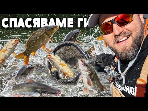 Видео: 50 ГОДИНИ НЕ Е ТОЧЕНО! ИМА ЛИ ЧУДОВИЩА В ЕЗЕРОТО???