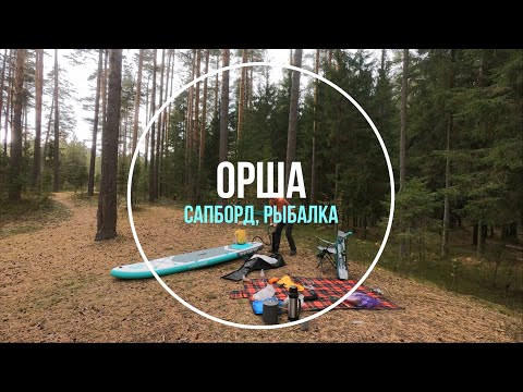 Видео: Орша 2. Сапборд, рыбалка, купание.