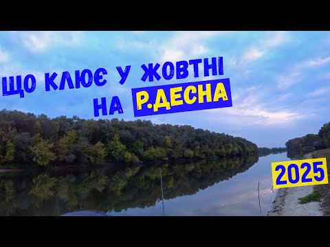 Видео: осіння ловля на р Десна, ловимо щуку, жереха та на фідер