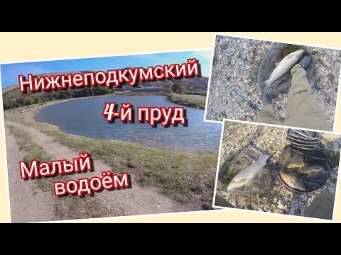 Видео: Рыбалка. Ставропольский край. Нижнеподкумский 4 пруд. Тренировка перед турниром и открытием🎣😉