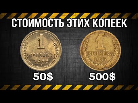 Видео: Стоимость этих копеек  50$ и 500$
