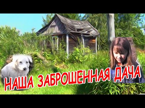 Видео: НАША ЗАБРОШЕННАЯ ДАЧА