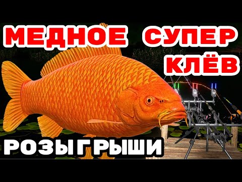 Видео: МЕДНОЕ ЛОВИМ РЕДКИХ КАРПОВ 🎁 РОЗЫГРЫШИ И ТУРНИРЫ 🔴 В  РУЛЕТКЕ - РАПТОР, ВЕНГА, РОД ПОД 💥СТРИМ РР4