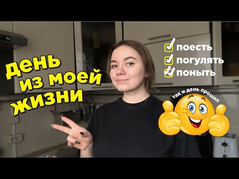 Видео: нам всем иногда нужен пенсионерский выходной