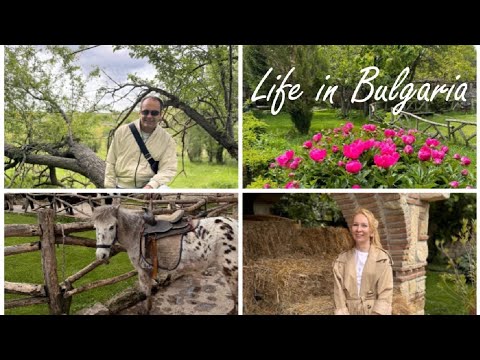 Видео: #23 Жизнь в Болгарии. Село Калиманци. Сельская жизнь