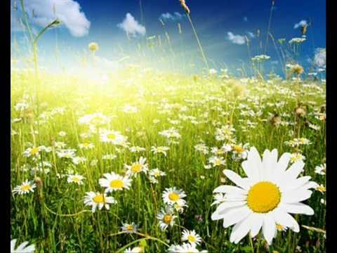 Видео: Алла Пугачёва - Звездное лето