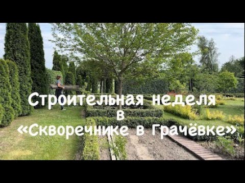 Видео: Строительство НУЖНЫХ объектов на участке. Такая  улица есть в каждом городе.