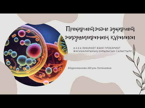 Видео: Прокариот және эукариот жасушаларының құрылысы.   8-сынып. 1-бөлім. Жасушалық биология