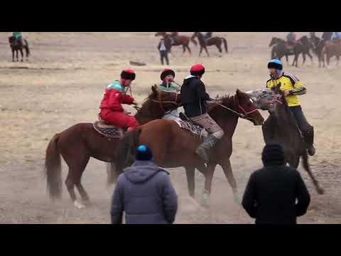 Видео: Привольное Кокпар 2 часть