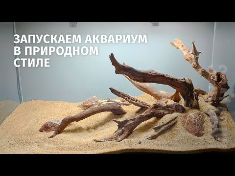 Видео: Запуск и оформление аквариума 180 литров