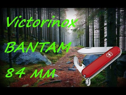 Видео: Маленкий обзор маленького ножа Victorinox Bantam ECOLINE 84 мм