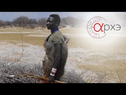 Видео: Станислав Дробышевский: "В гостях у хадза"