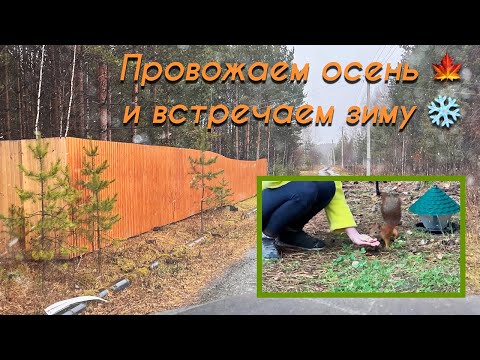 Видео: К нам в гости пришло целое семейство белок 😃