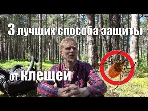 Видео: 3 ЛУЧШИХ СПОСОБА ЗАЩИТИТЬСЯ ОТ КЛЕЩЕЙ.