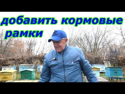 Видео: Осмотр слабых семей в ноябре. Добавить кормовые рамки, убрать лишние.