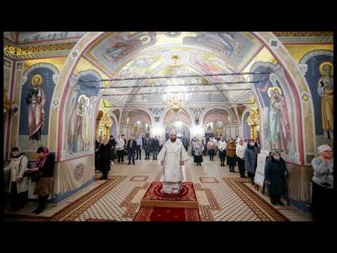 Видео: Степенна, глас 4, антифон 1. Н. Озеров