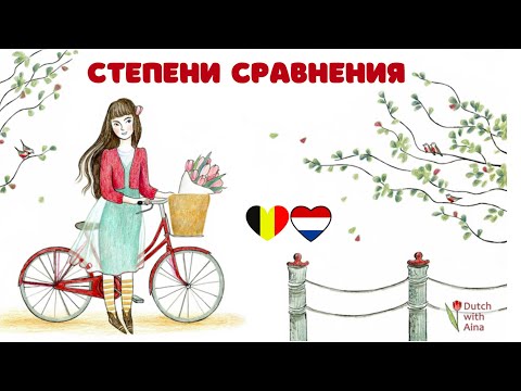 Видео: Нидерландский язык: степени сравнения / comparative adjectives