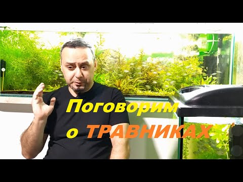 Видео: О ТРАВНИКАХ